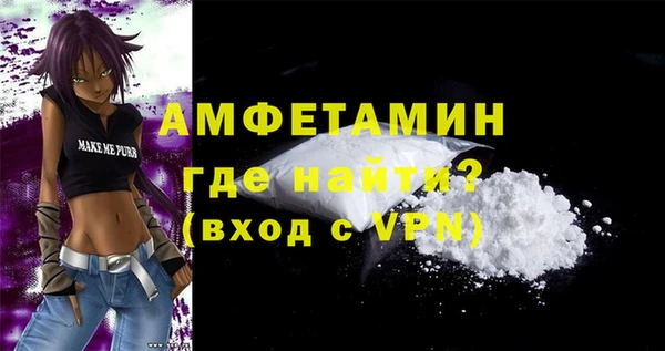 молекула духа Краснослободск