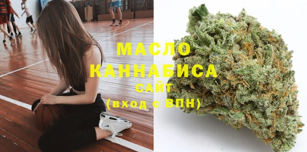 молекула духа Краснослободск